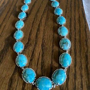 NEW JTV Real Turquoise Platinum over up to 20" Necklace